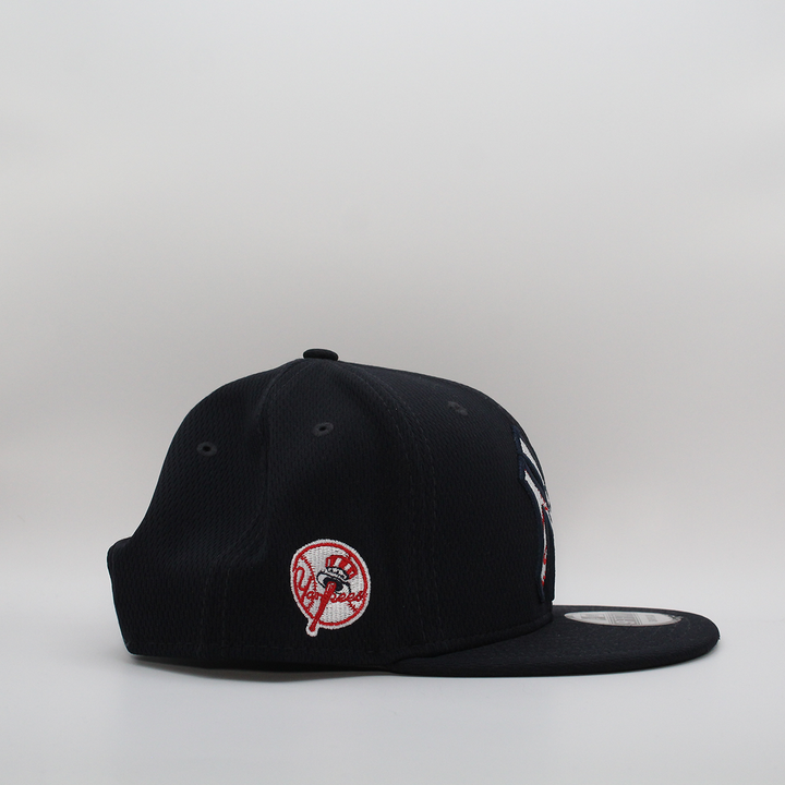 NY YANKEES BLUE 9F