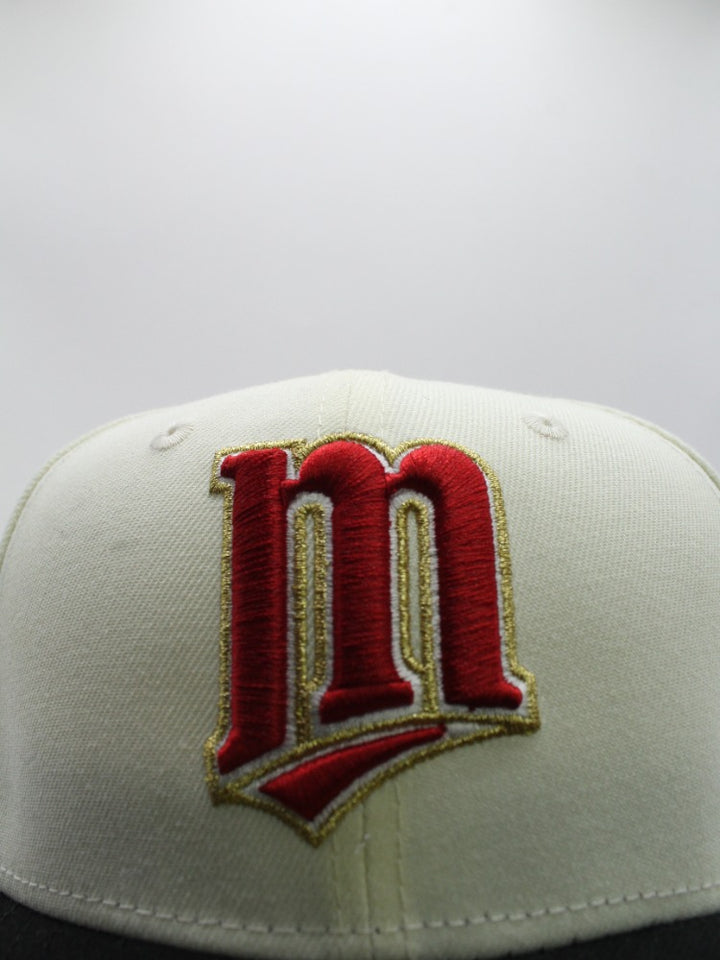 M MINESSOTA TWINS 2009 HHH METRODOME