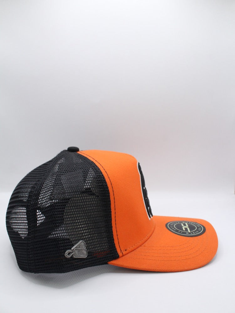 GRANADA CURVED MESH