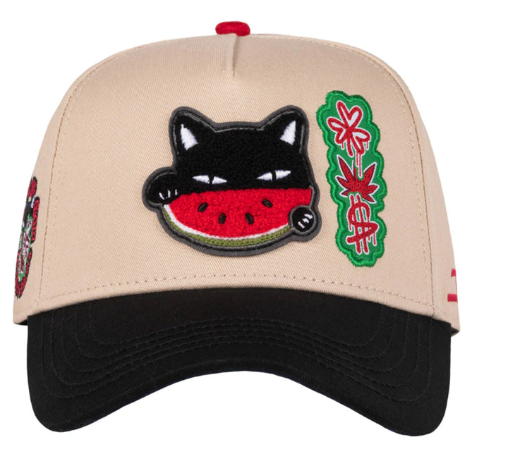 WATERMELON CAT BLACK/BEIGE