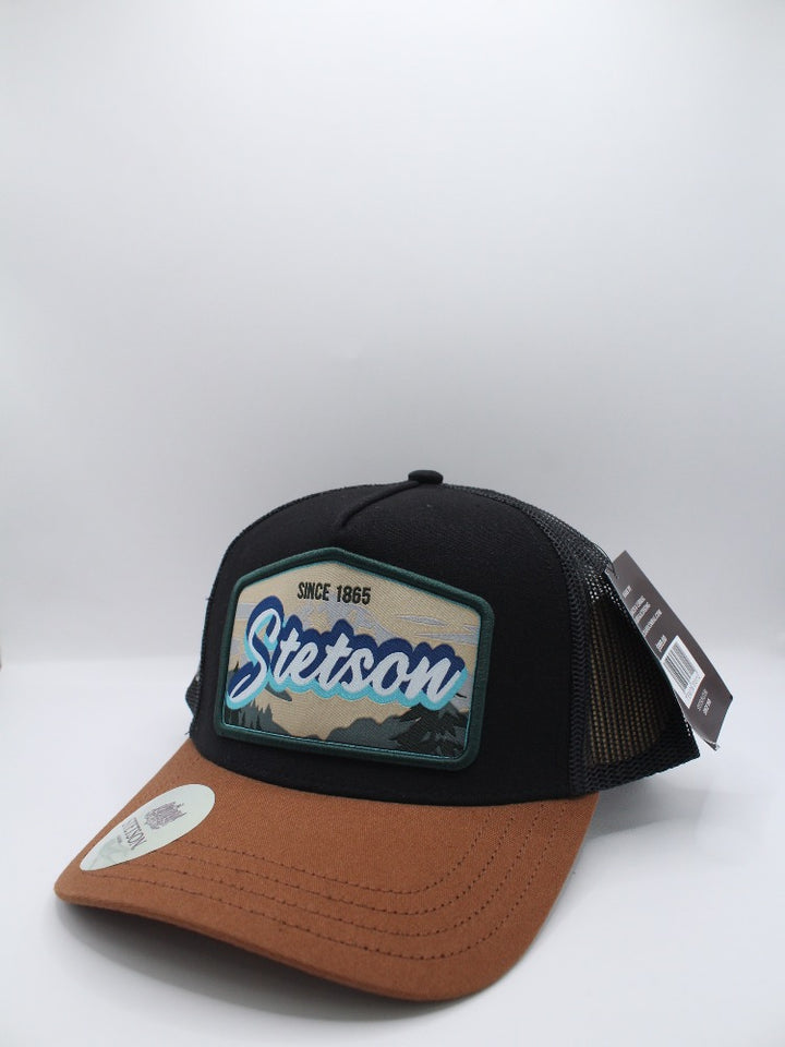 STS01