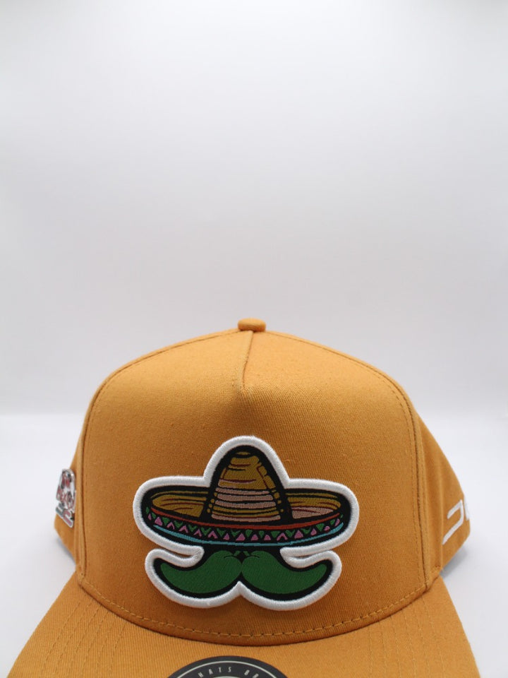 GO MEXICO COPPER