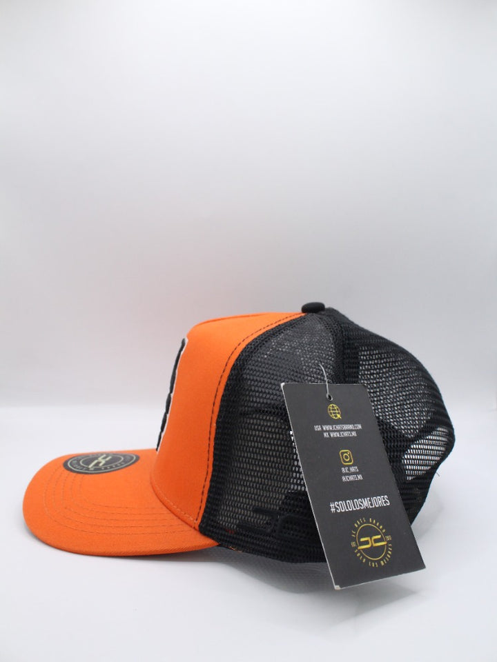 GRANADA CURVED MESH