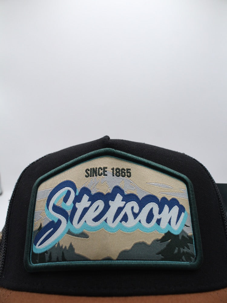 STS01