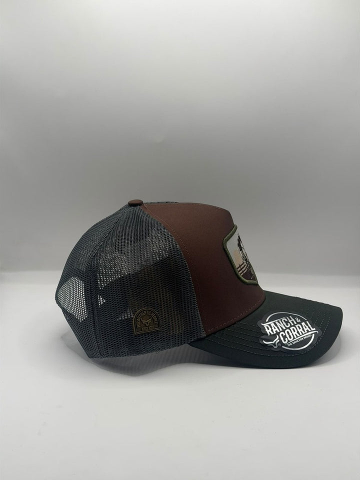CEO31
