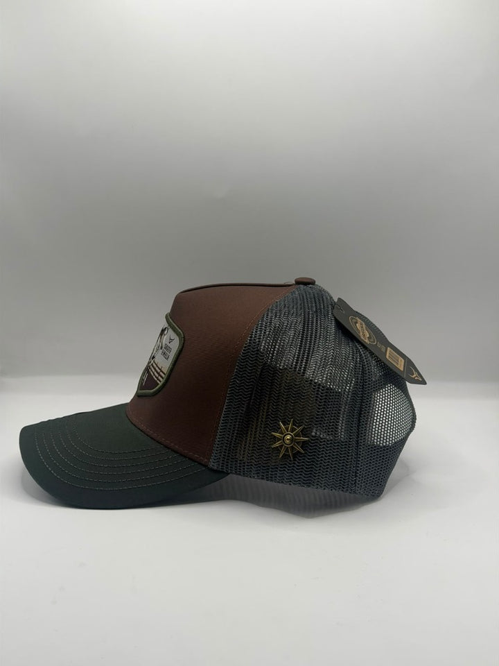 CEO31