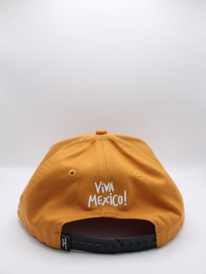 GO MEXICO COPPER