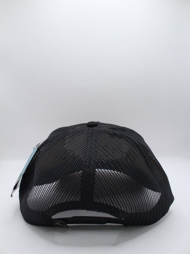 STS01