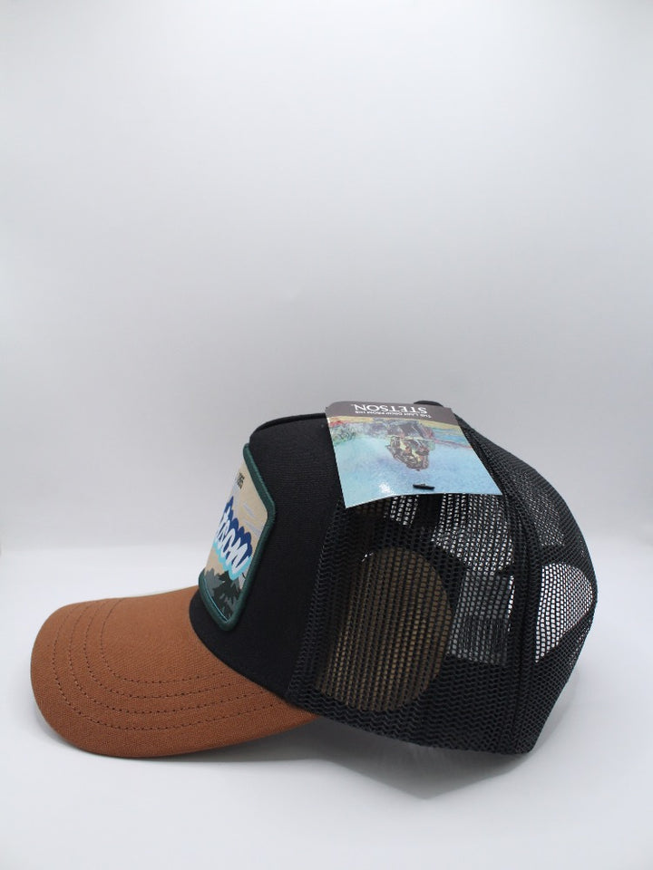 STS01