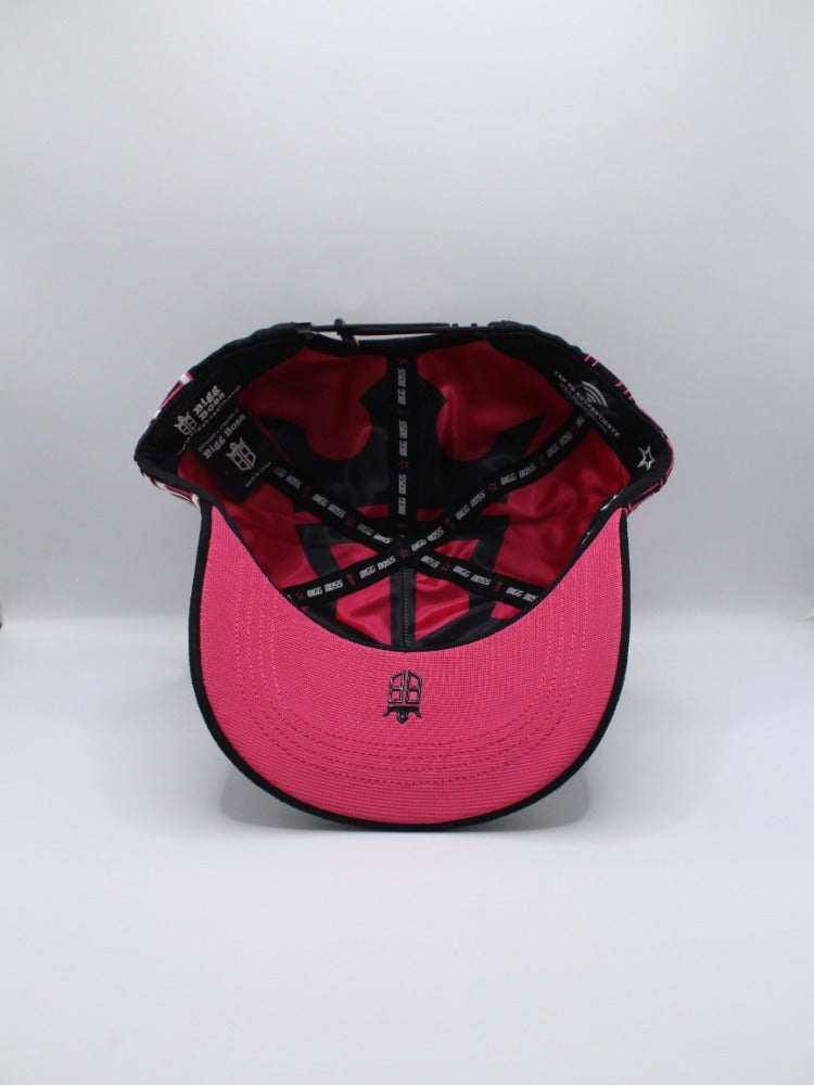 HOUSTON ASTROS
