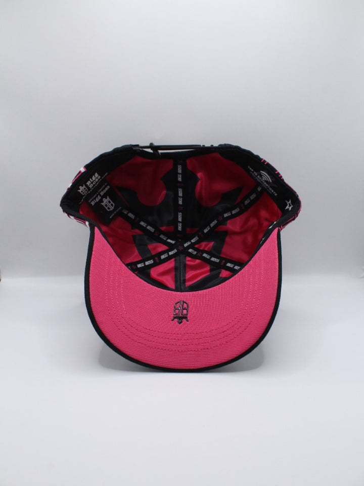 HOUSTON ASTROS