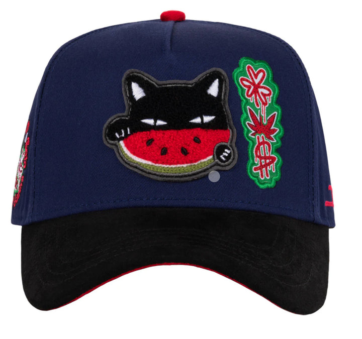 WATERMELON CAT BLUE