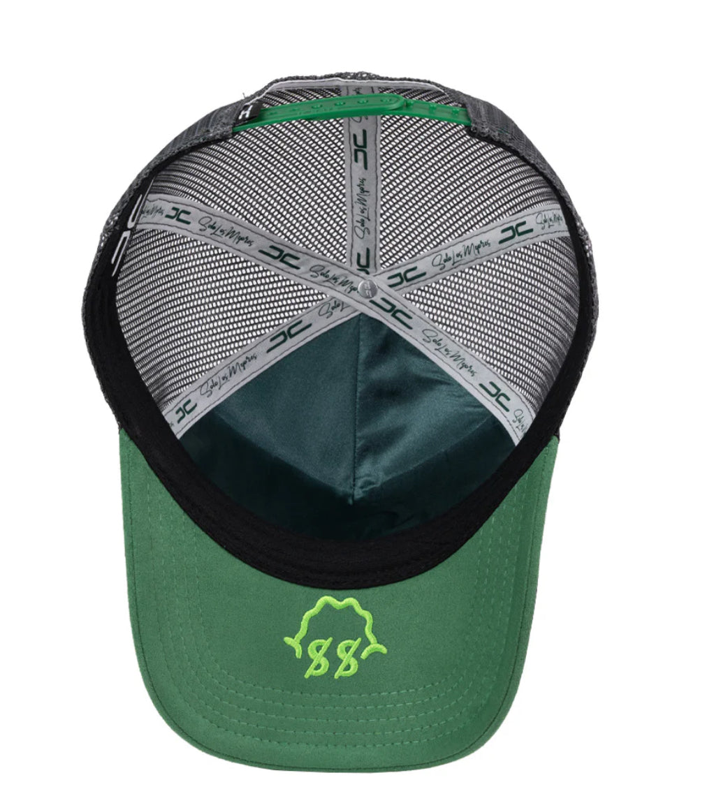 JC Sped Money White Green