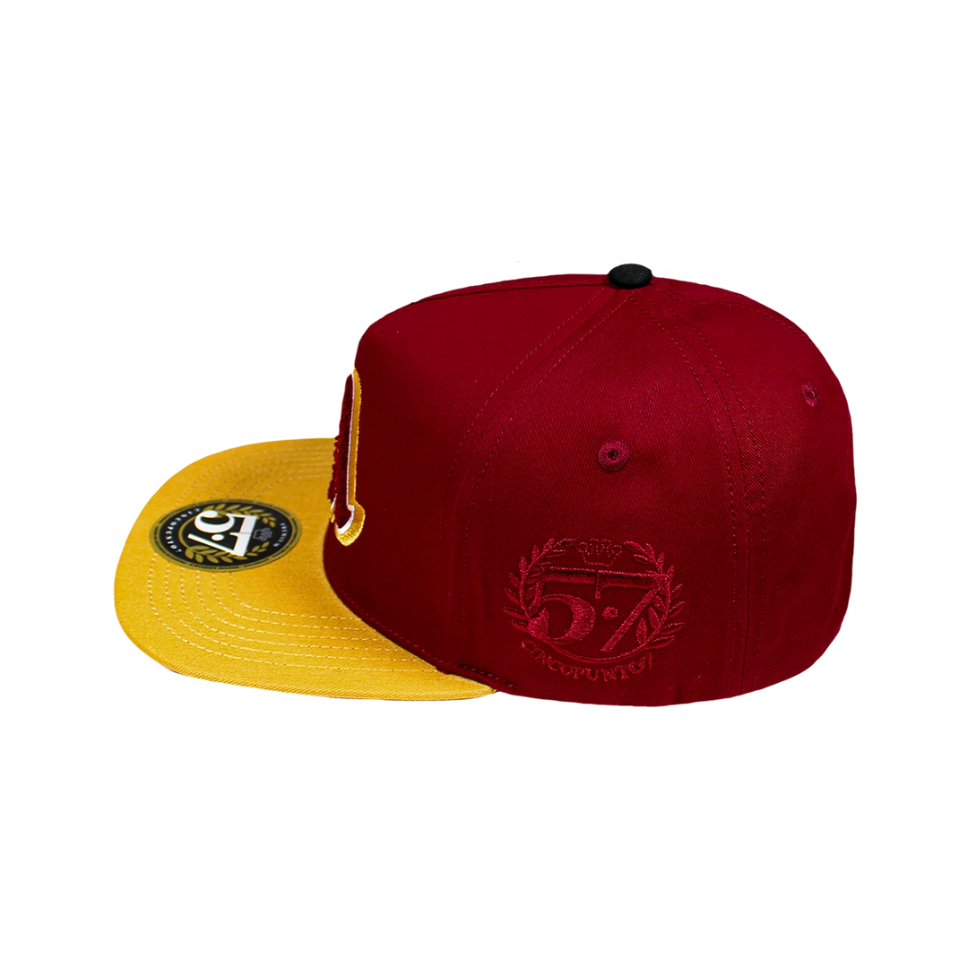 Vagancia Chenill Tinta