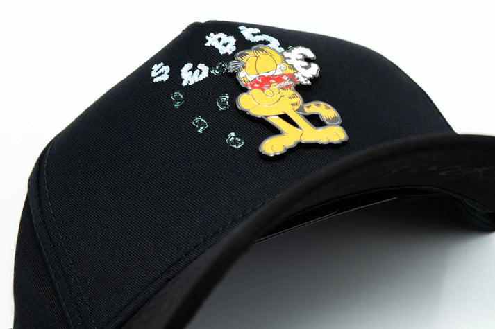 GARFIELD IS BURINING