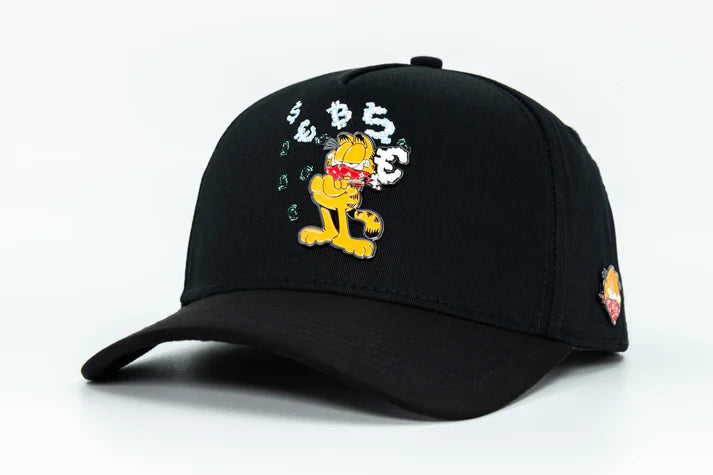 GARFIELD IS BURINING