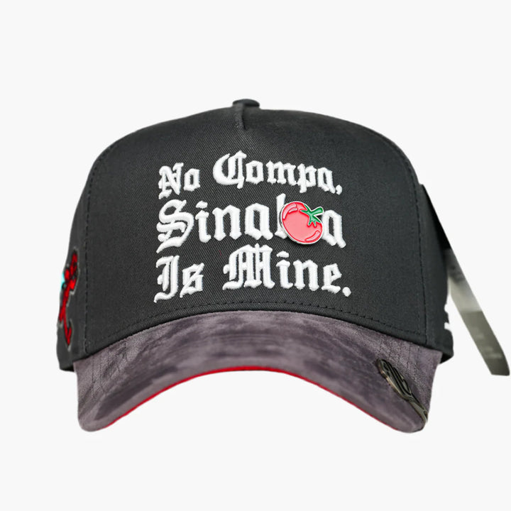 SINALOA IS MINE GRAY