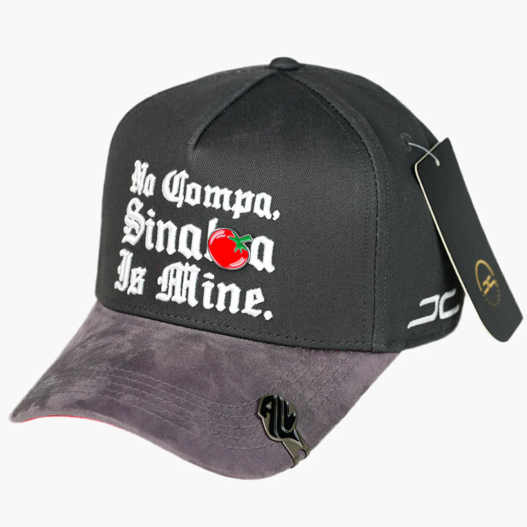 SINALOA IS MINE GRAY