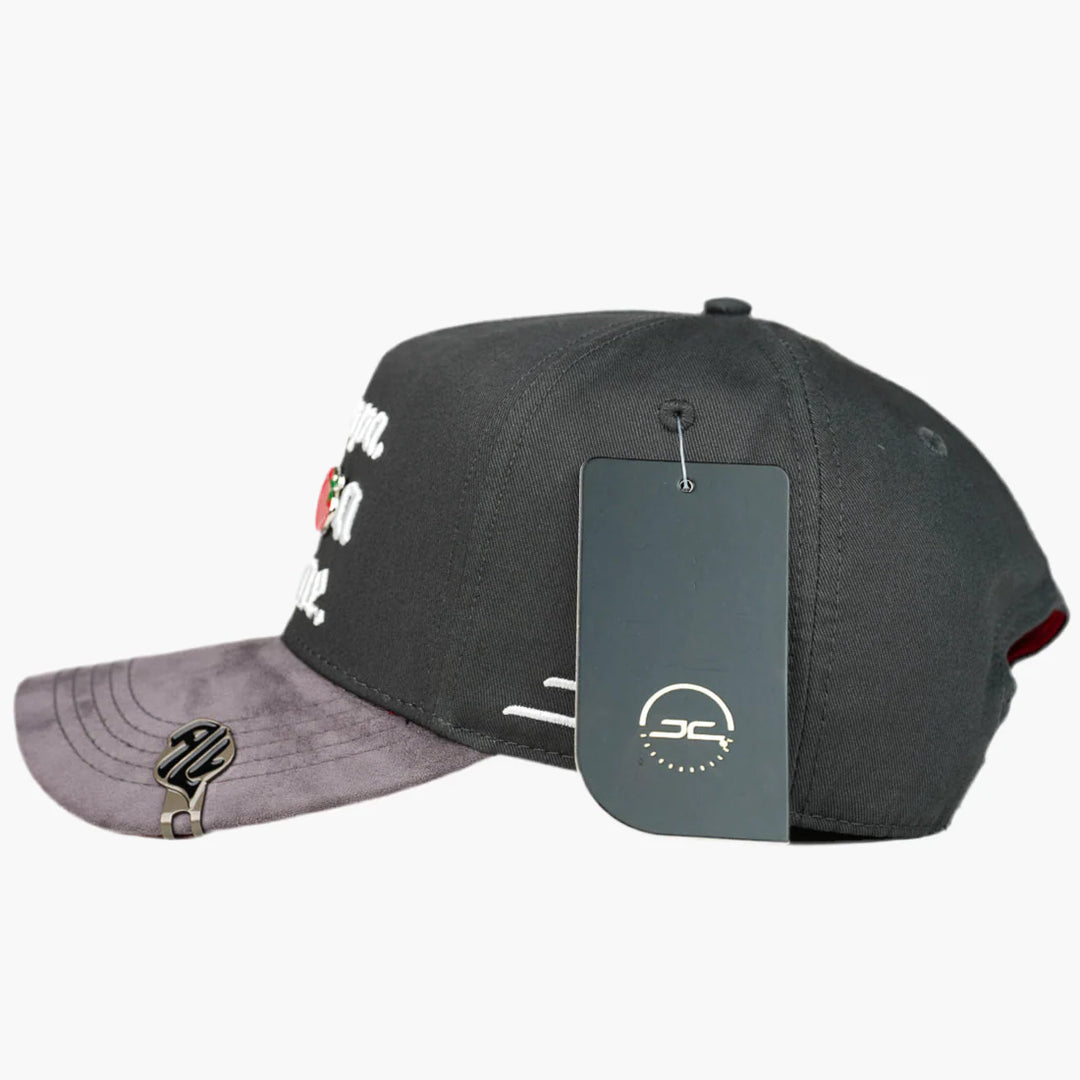 SINALOA IS MINE GRAY