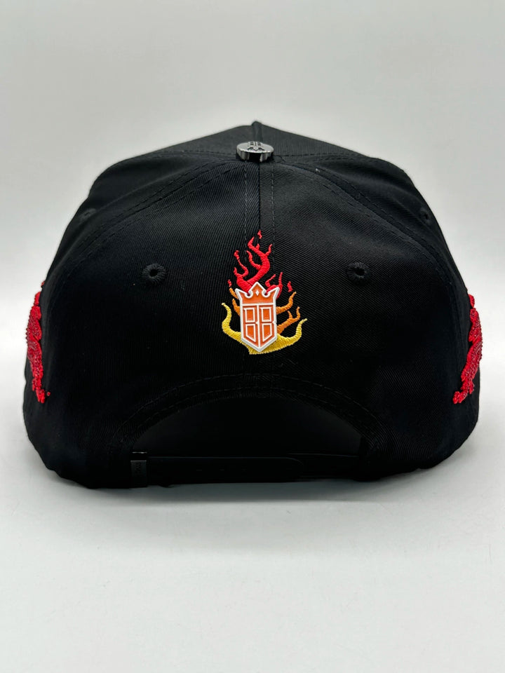 HOUSTON ASTROS