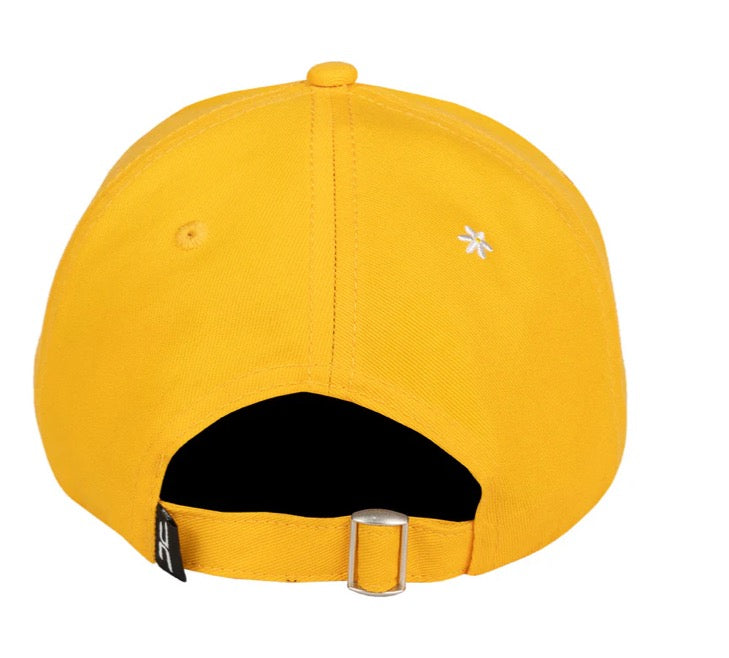 AVOCADO CURVE YELLOW