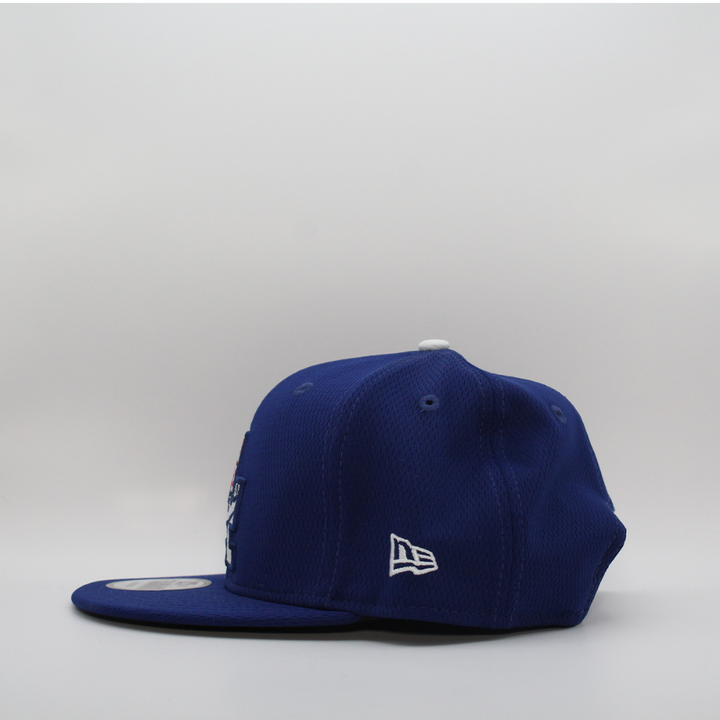 LA DODGERS BLUE 9F