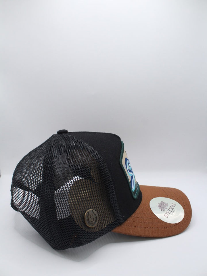 STS01