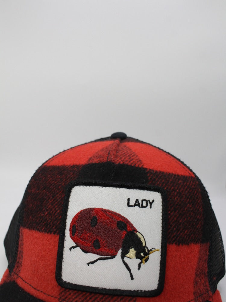 LADY CUADROS