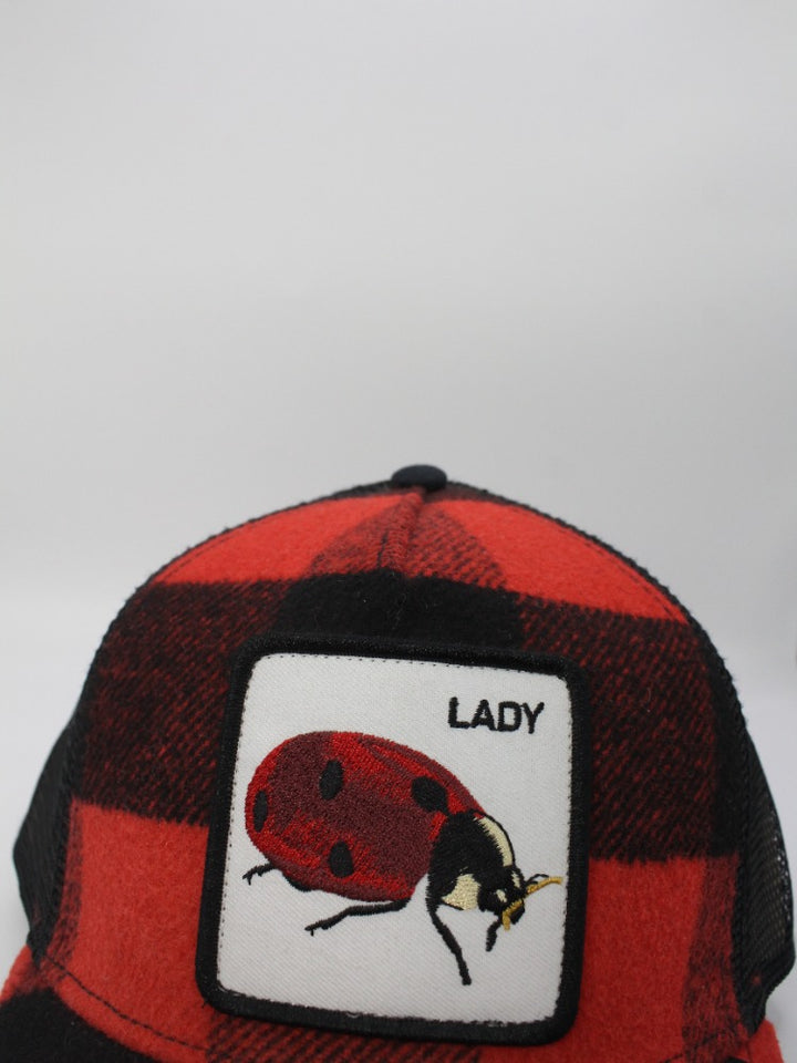 LADY CUADROS