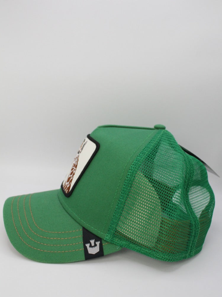 HIGH JIRAFA GREEN